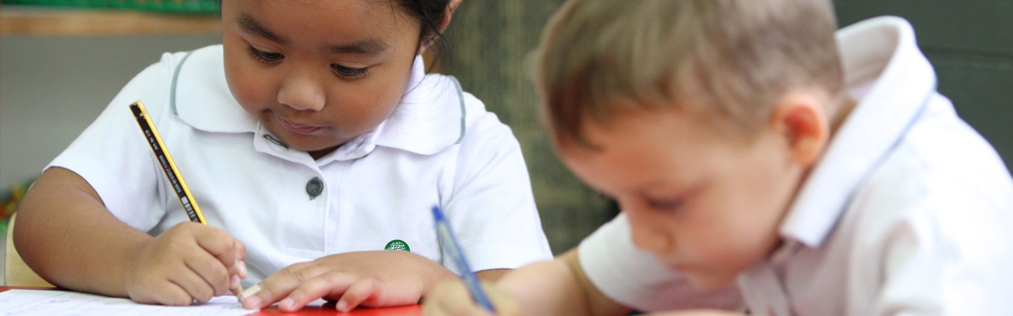 Regional & International Experiences